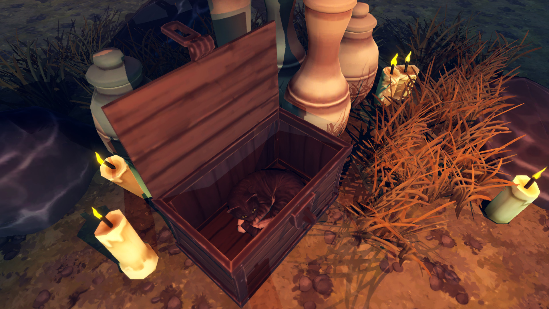 Hidden Paws Mystery