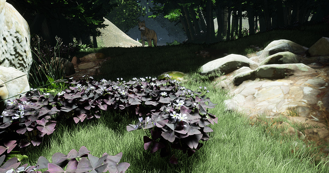 Blood Bond: Into the Shroud