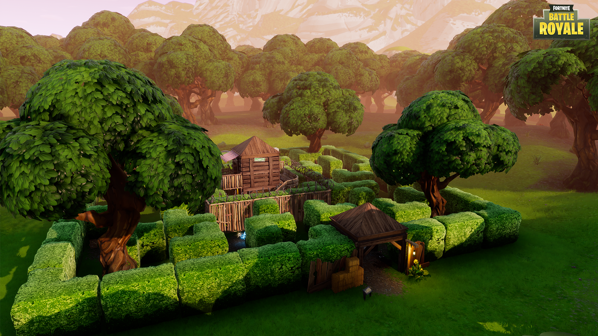 Fortnite: Deluxe Founder’s Pack