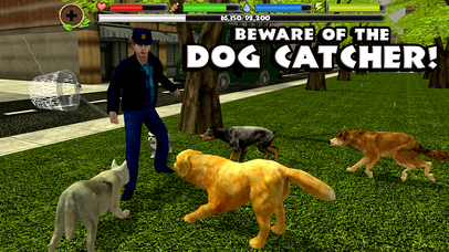 Stray Dog Simulator
