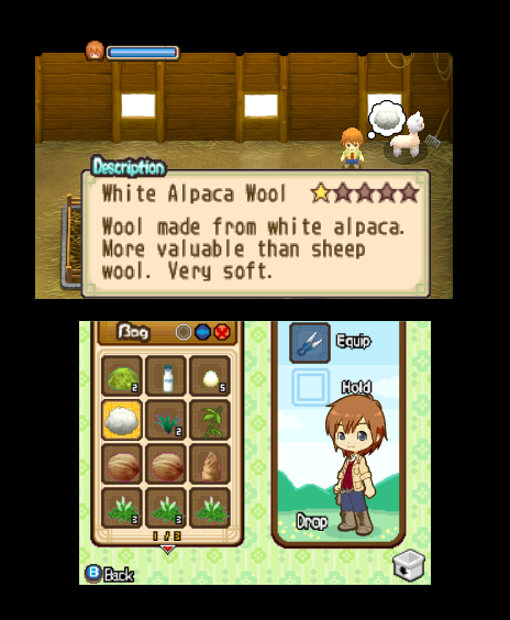 Harvest Moon: The Tale of Two Towns