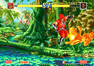 World Heroes Perfect