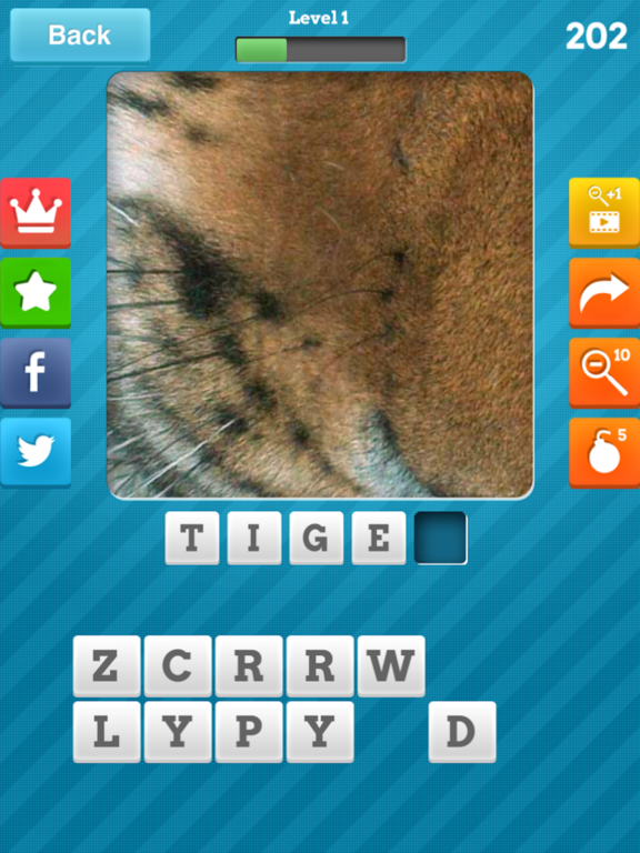 Close Up Pics – Fun Word Games