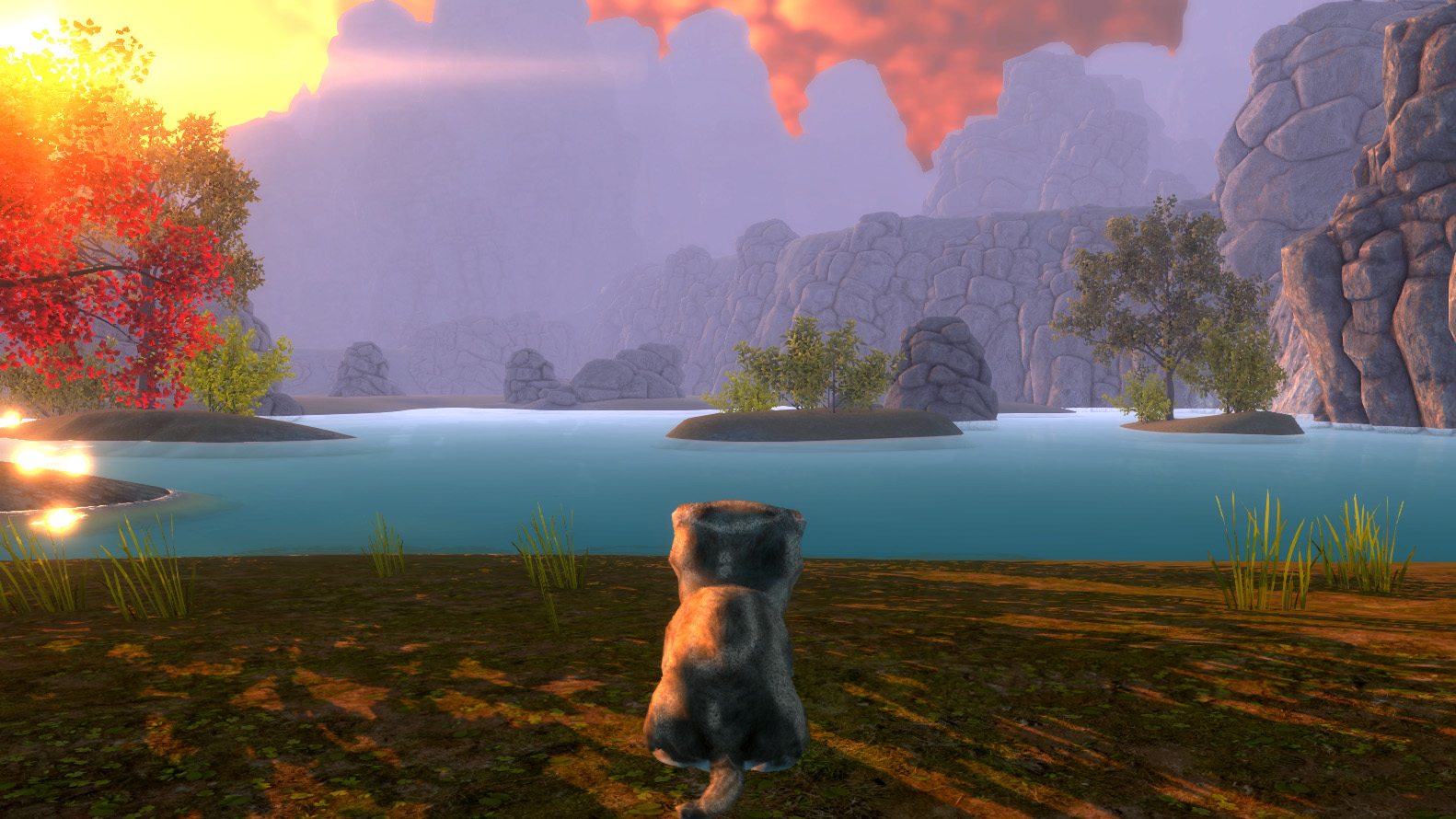 Kitten Super Adventure