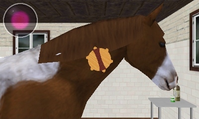 Best Friends: My Horse 3D