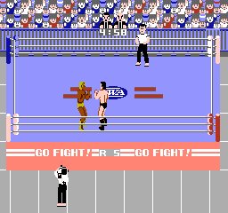 Pro Wrestling