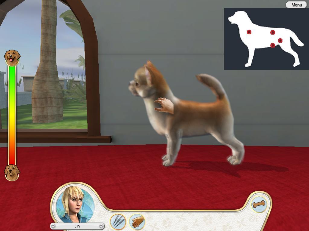 Paws &amp; Claws: Pampered Pets