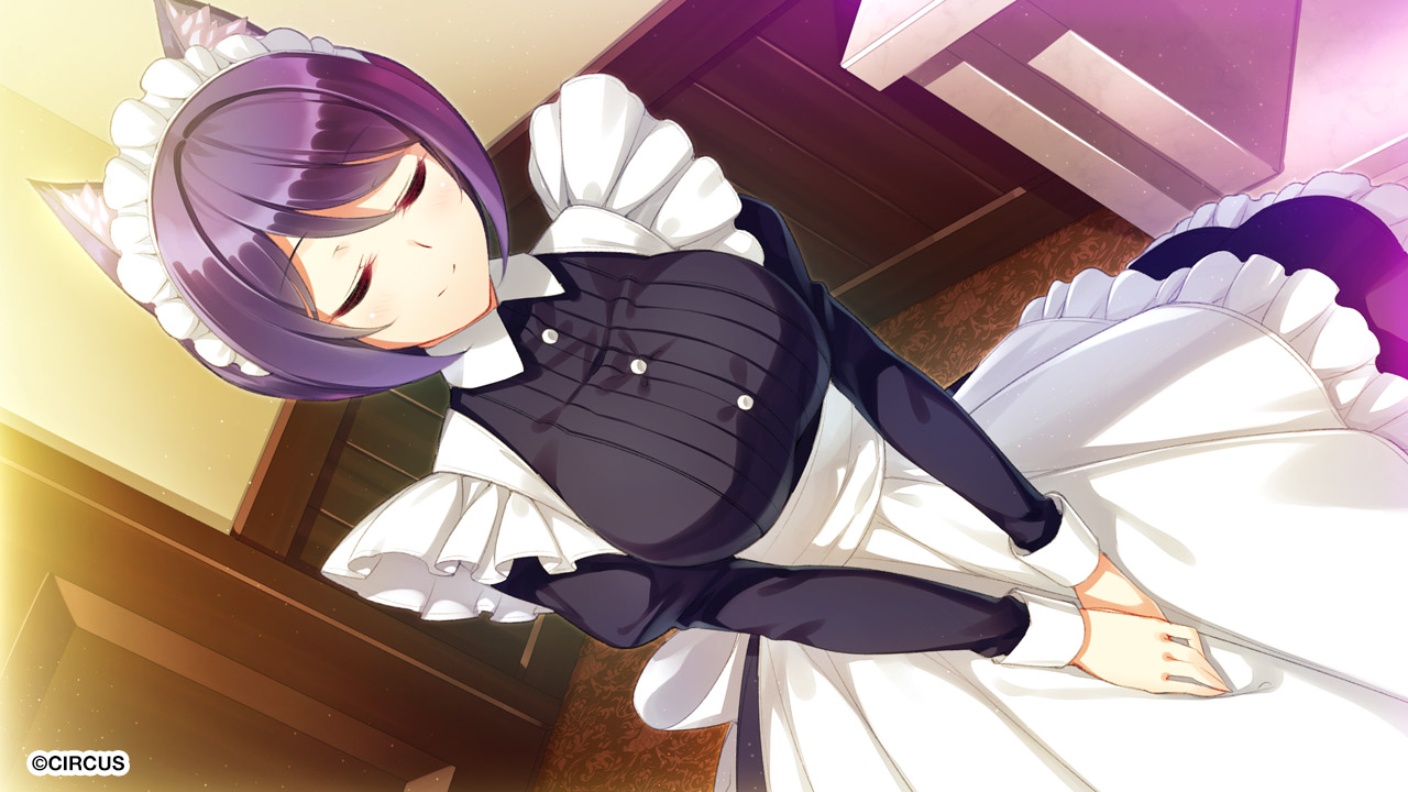 Space Live: Advent of the Net Idols