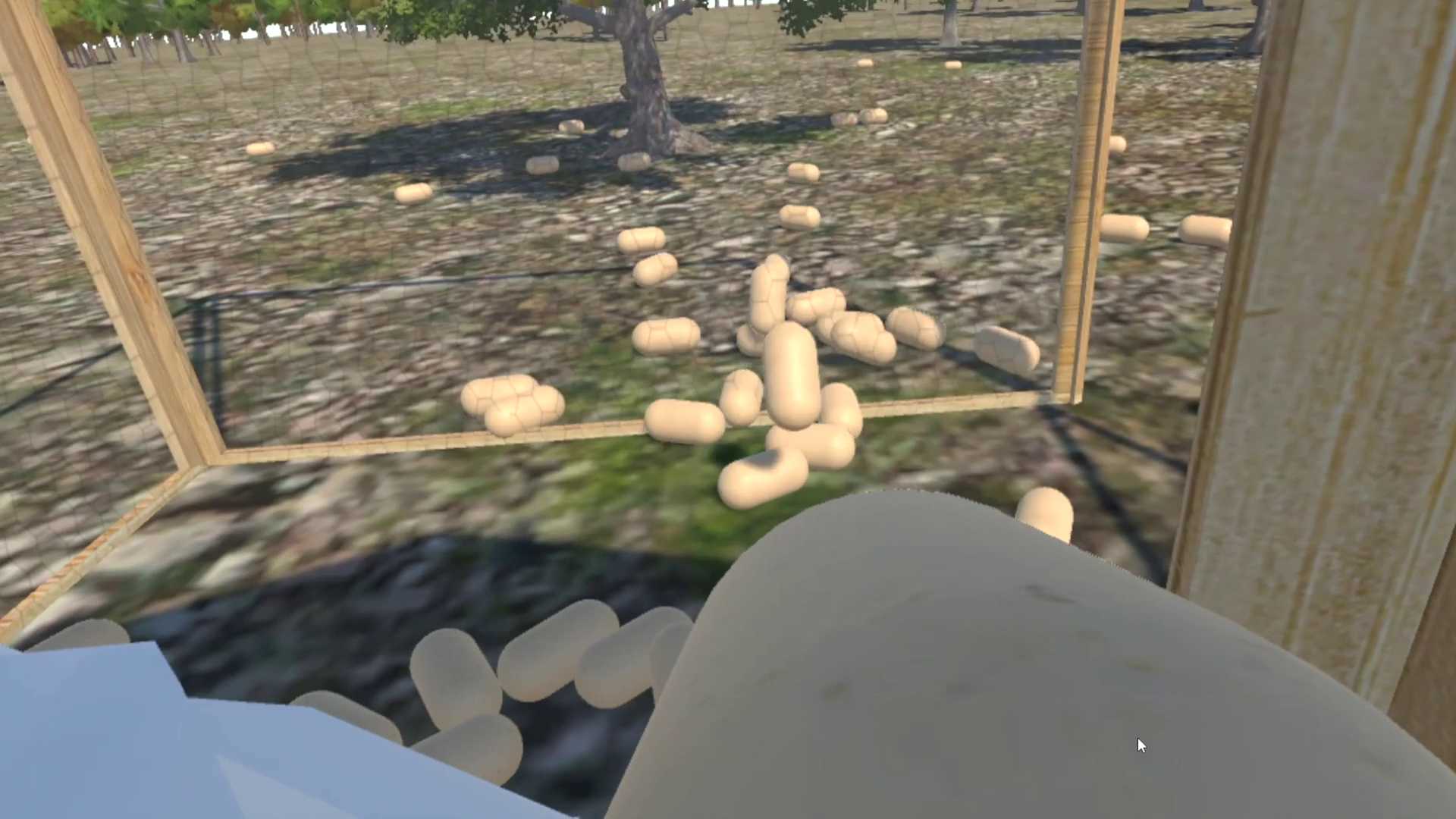 Chicken VR