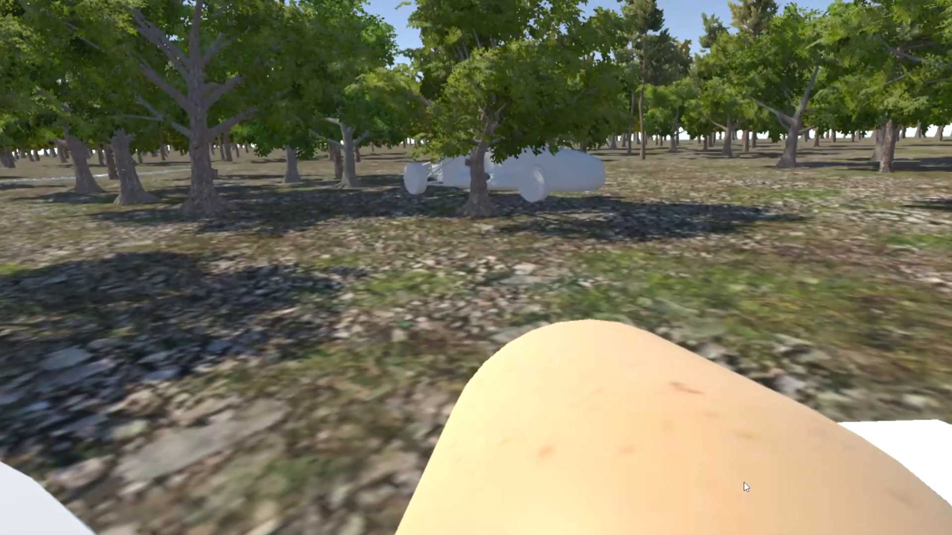 Chicken VR
