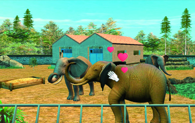 My Zoo Vet Practice 3D