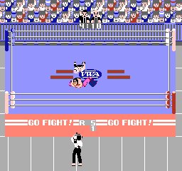 Pro Wrestling