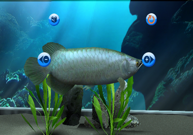 My Aquarium