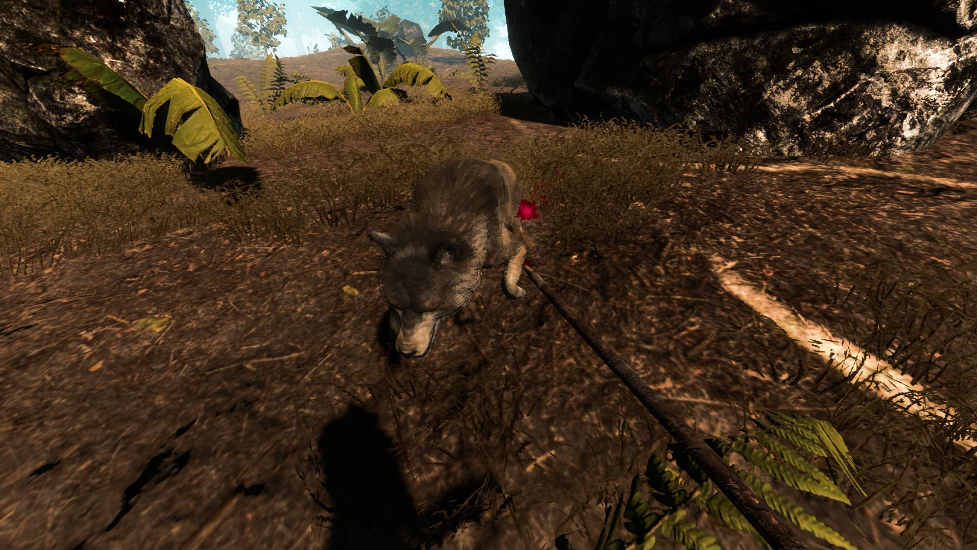 Survival Simulator
