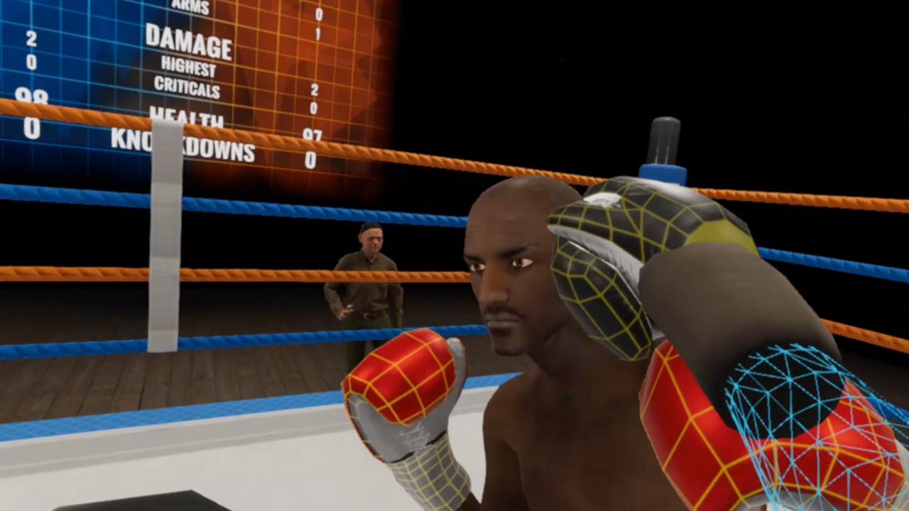 Virtual Boxing League
