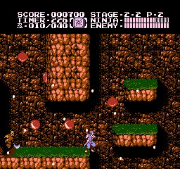 Ninja Gaiden II: The Dark Sword of Chaos