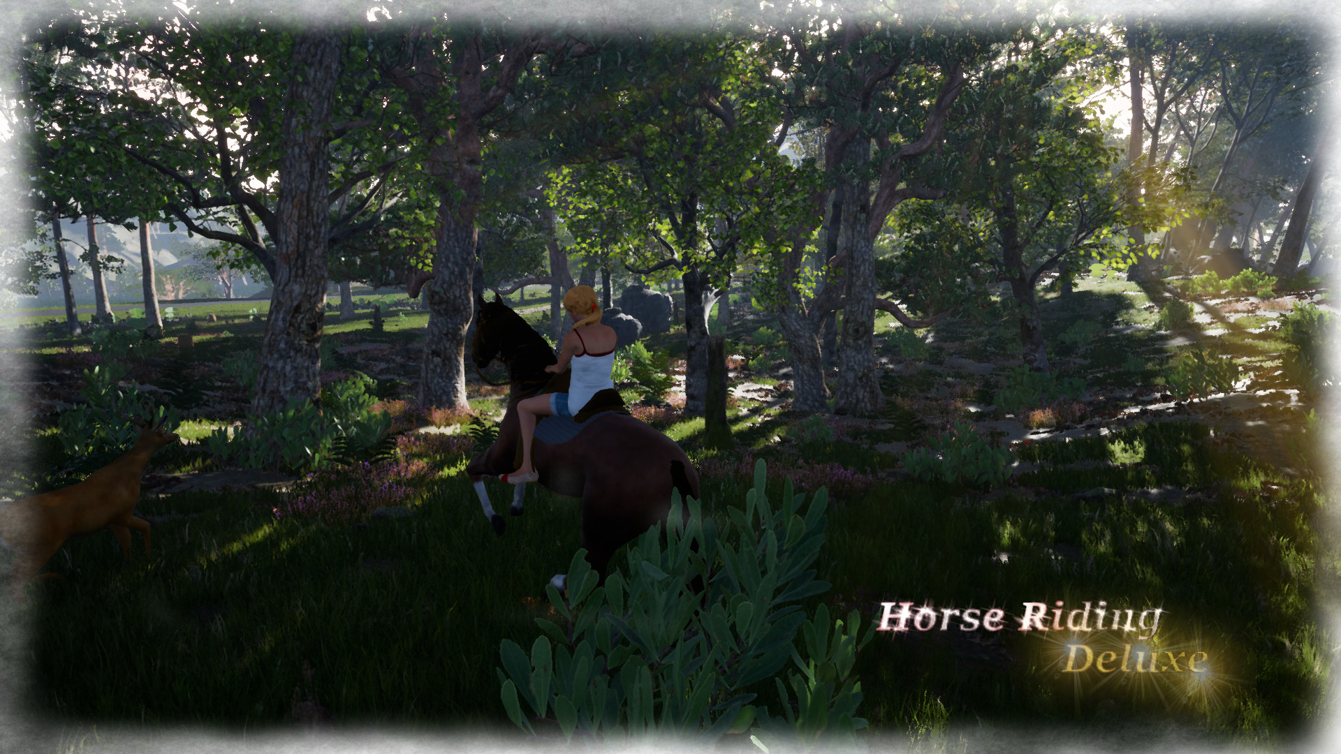 Horse Riding Deluxe