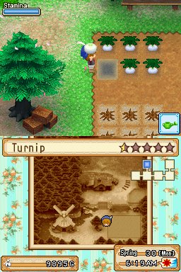 Harvest Moon DS: Grand Bazaar