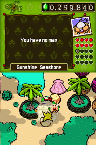 Freshly-Picked Tingle’s Rosy Rupeeland