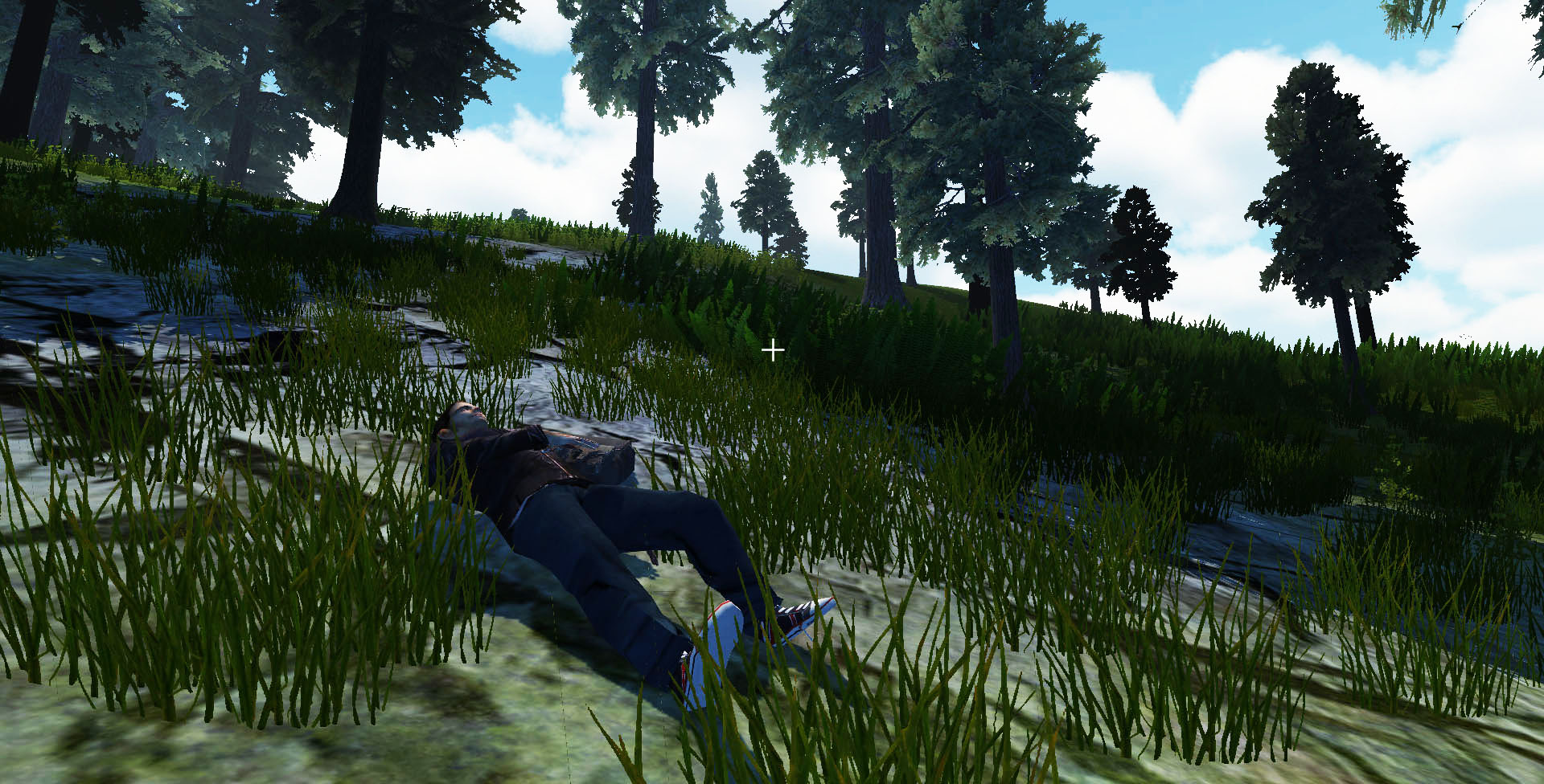 Recovery Search and Rescue Simulation