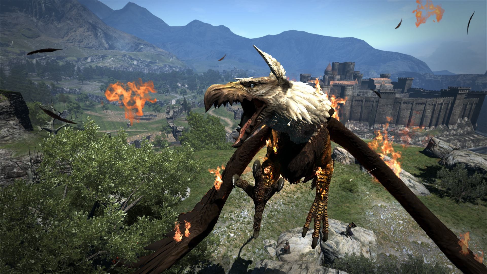 Dragon’s Dogma