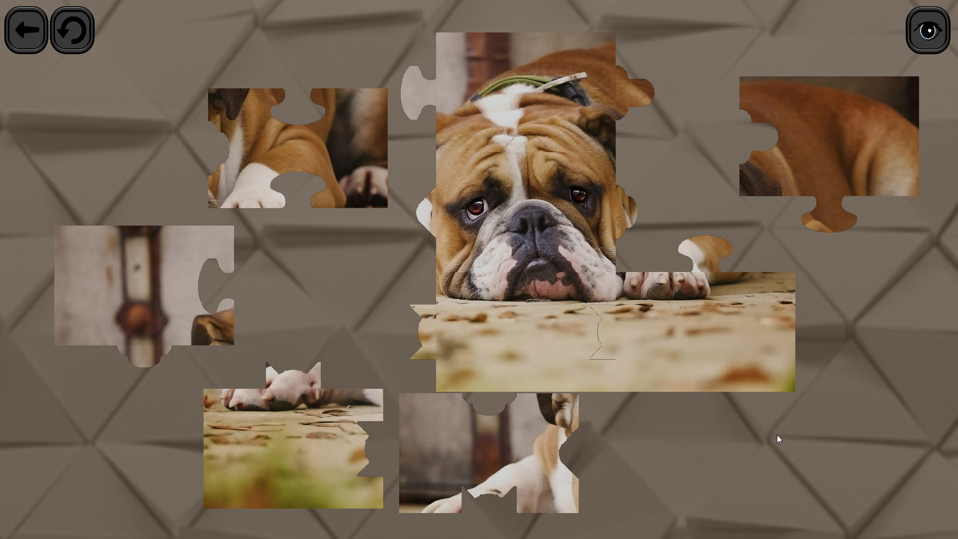 Puzzles for smart: Dogs