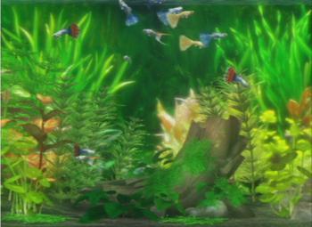 Zenquaria: Virtual Aquarium