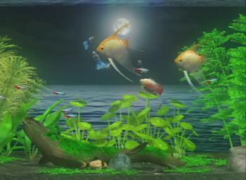 Zenquaria: Virtual Aquarium