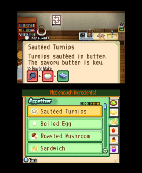 Harvest Moon: The Tale of Two Towns