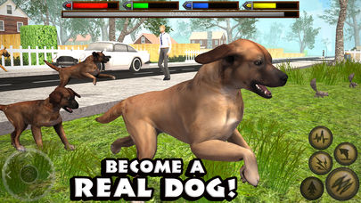 Ultimate Dog Simulator