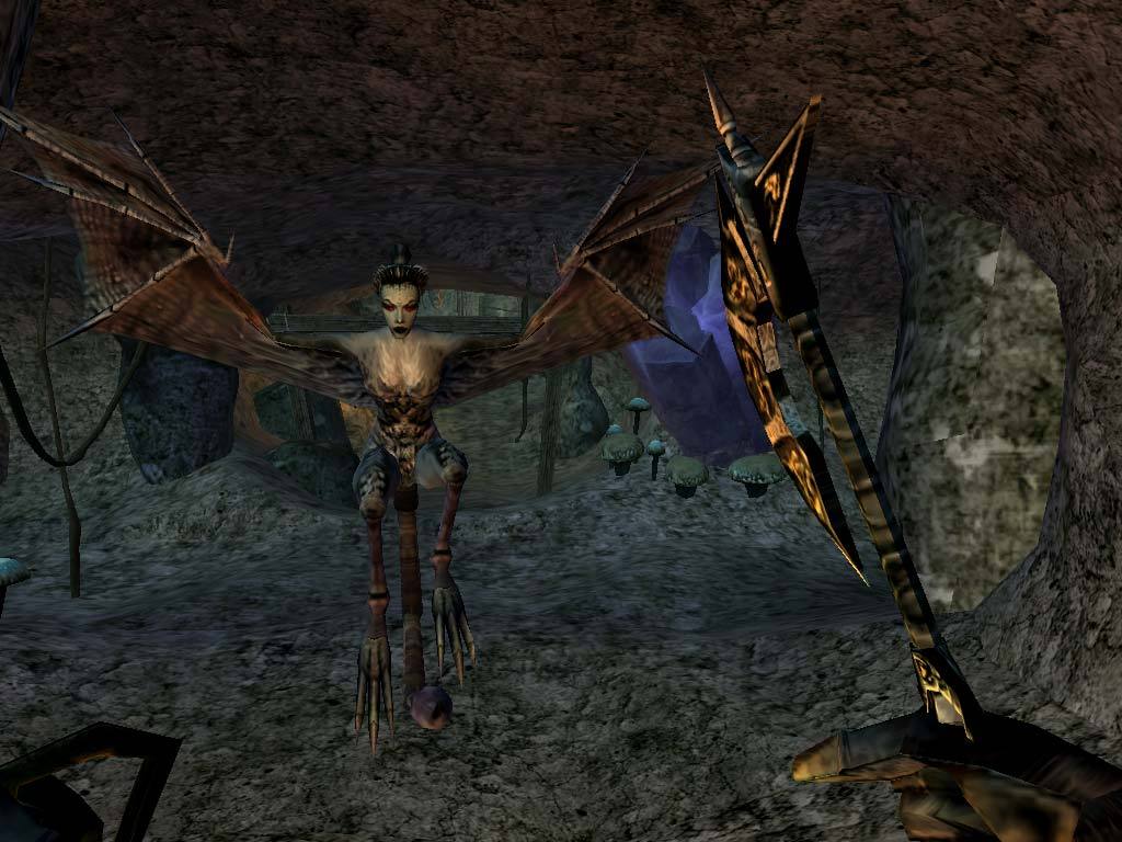The Elder Scrolls III: Morrowind – Game of the Year Edition