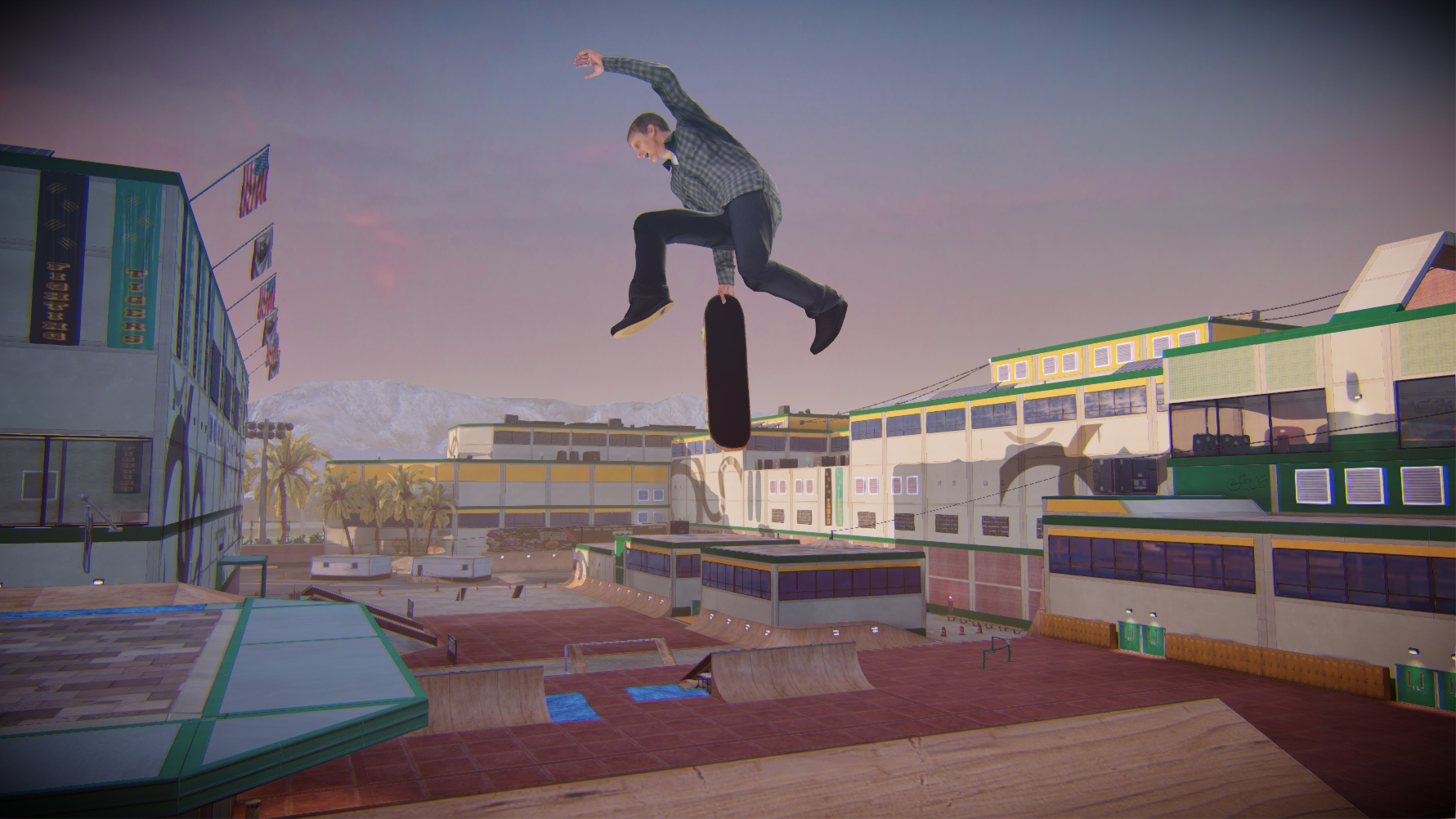 Tony Hawk’s Pro Skater 5
