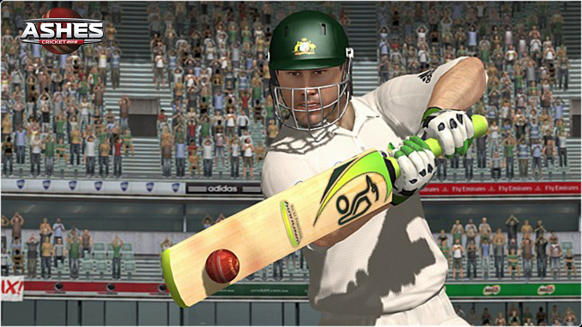 Ashes Cricket 2013