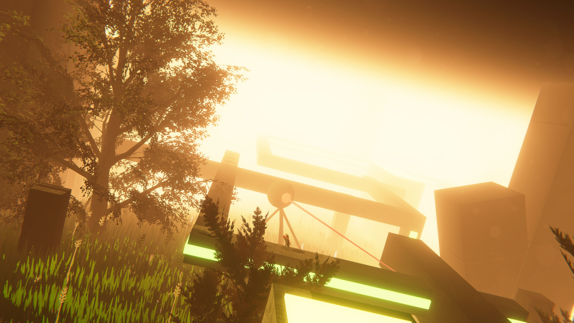 Widower’s Sky