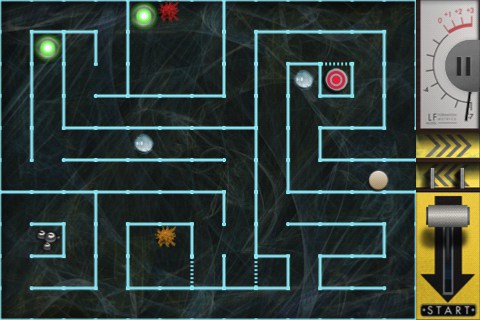 Schrödinger’s Rat