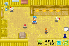 Harvest Moon: Friends of Mineral Town