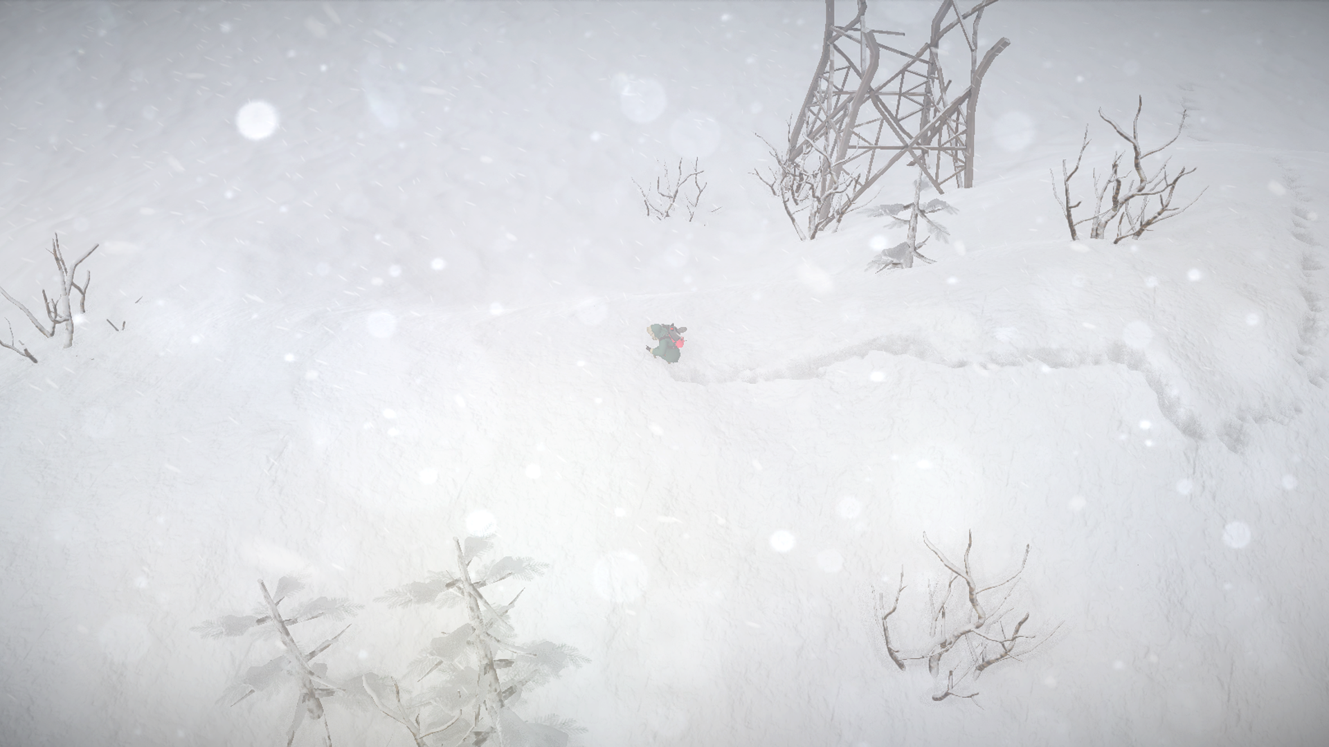 Impact Winter