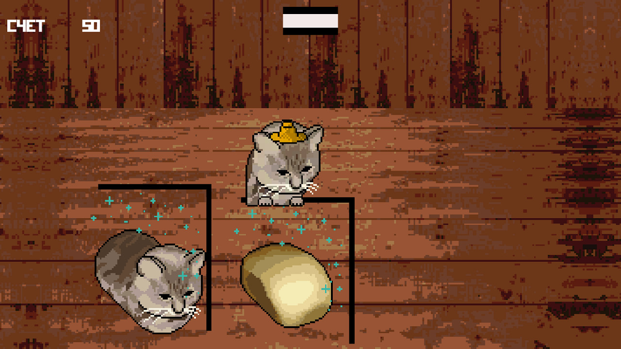 Cat or Bread?