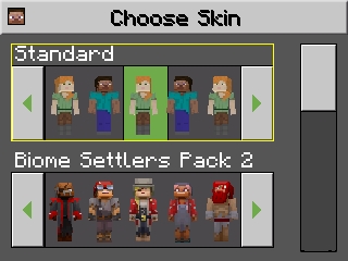 Minecraft: New Nintendo 3DS Edition