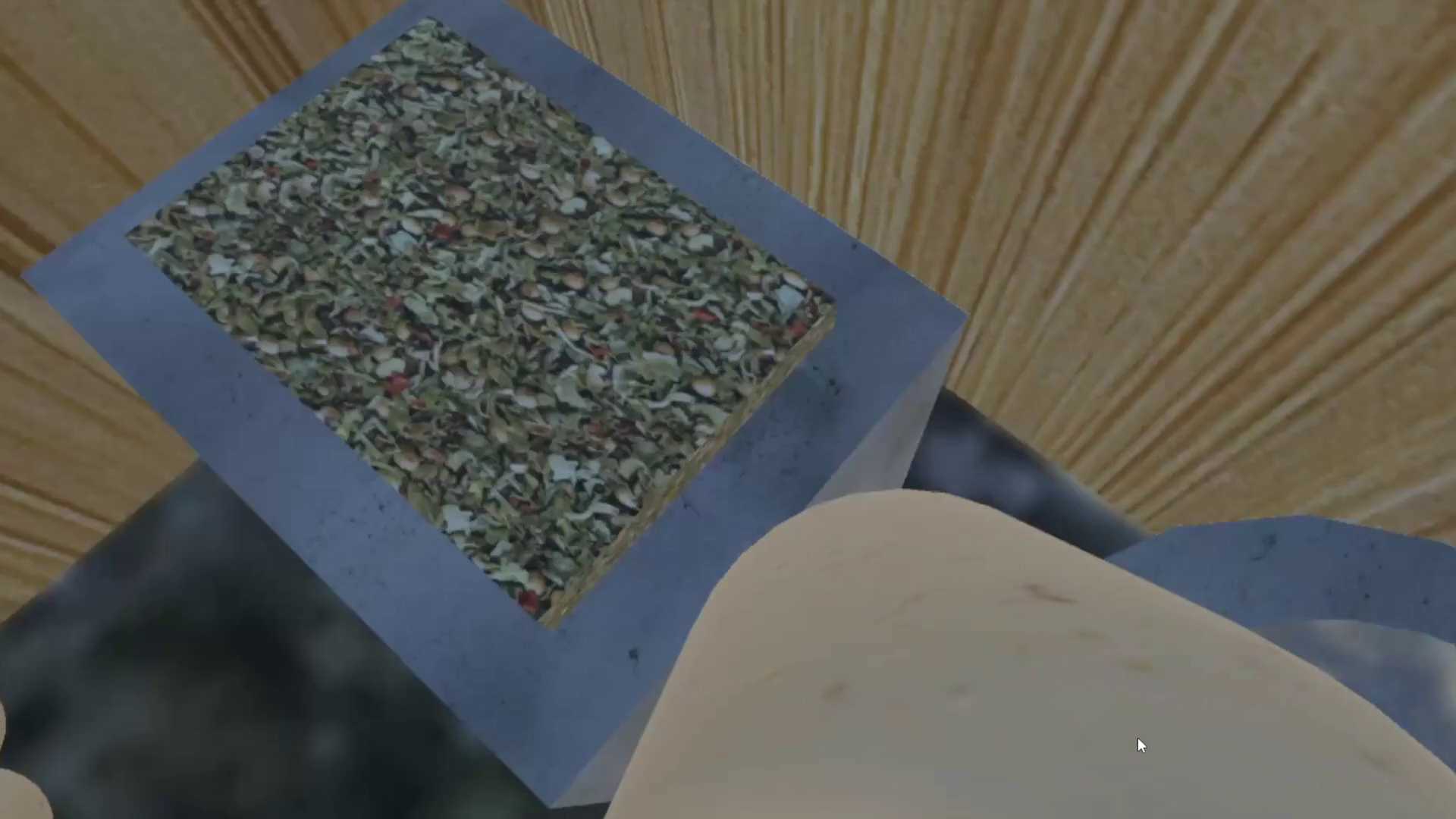 Chicken VR