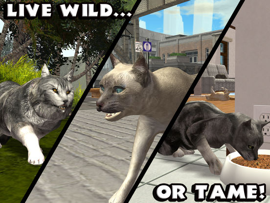 Ultimate Cat Simulator