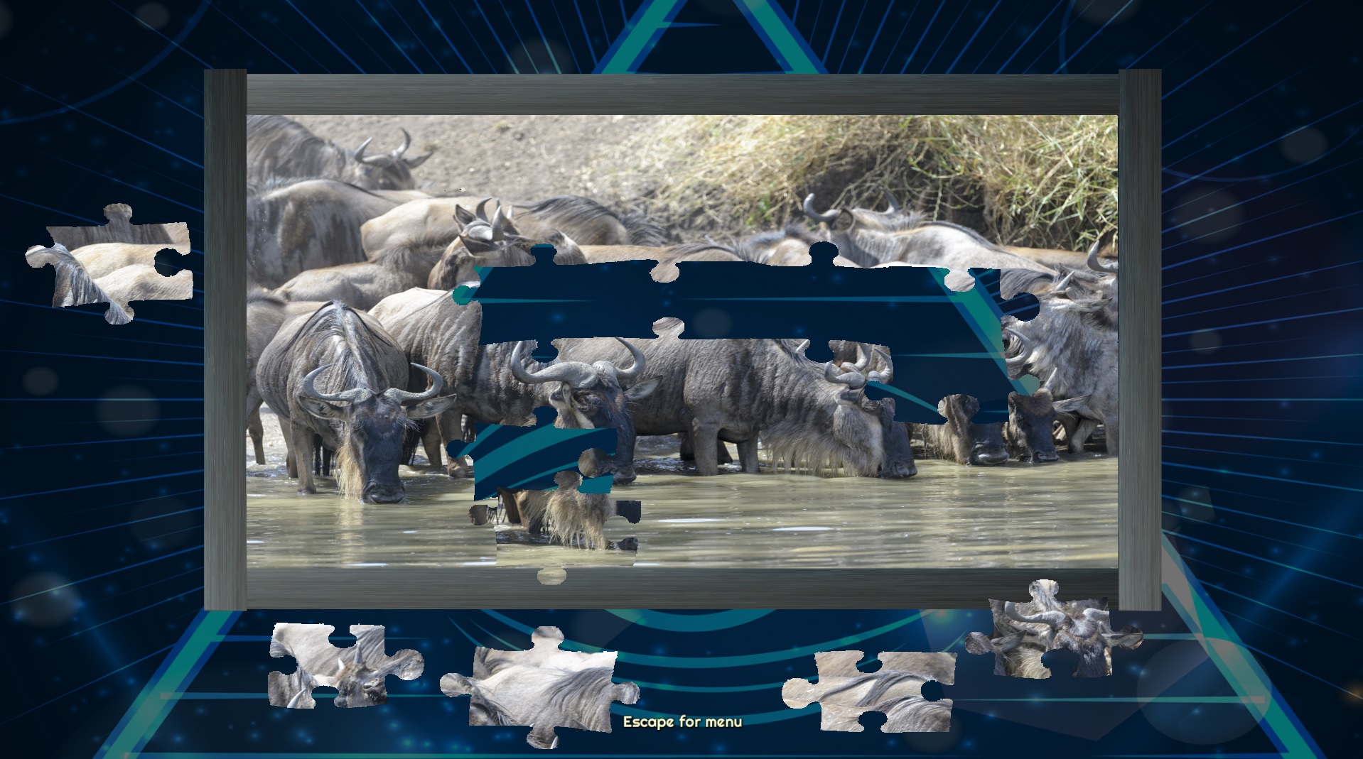 Trials of the Illuminati: Amazing Wildlife Jigsaws