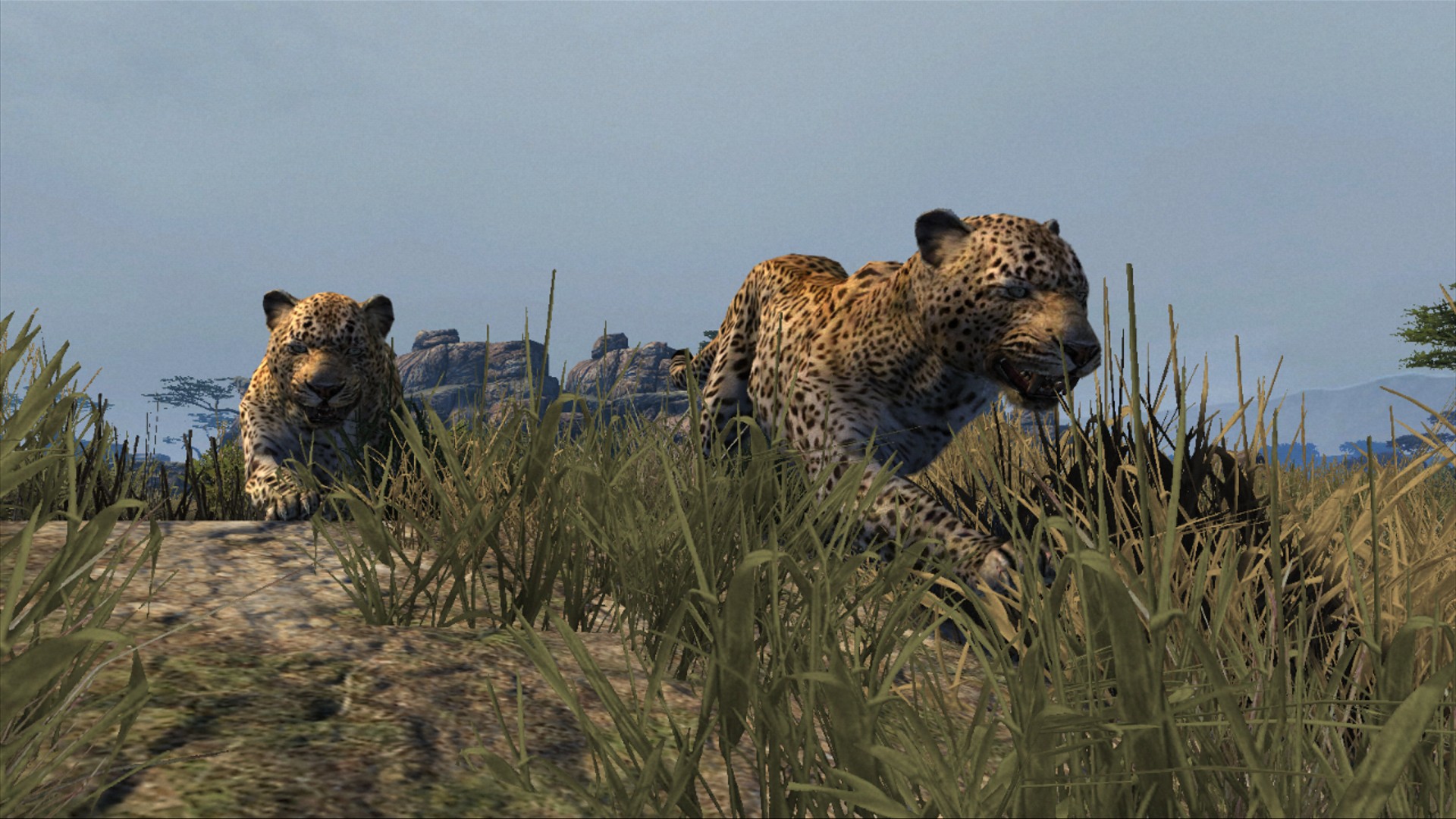 Cabela’s Dangerous Hunts 2013