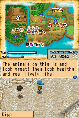 Harvest Moon DS: Island of Happiness