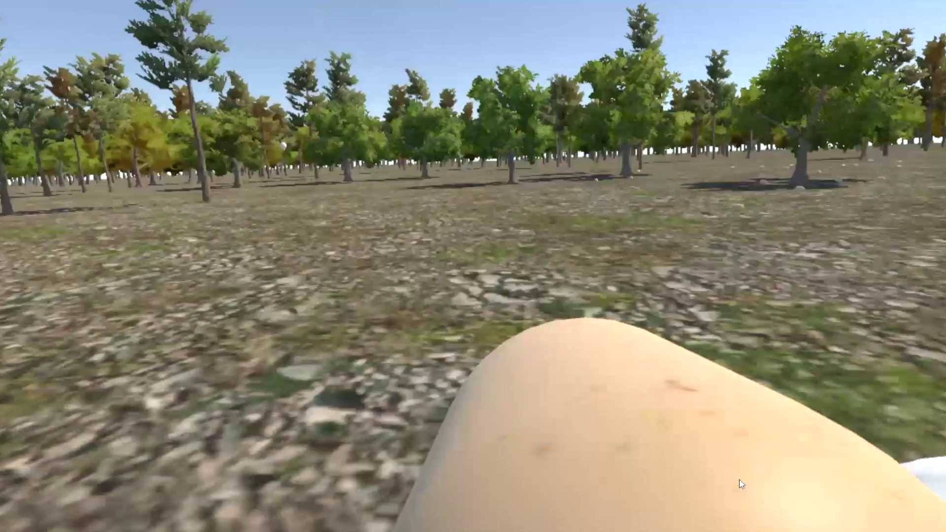 Chicken VR