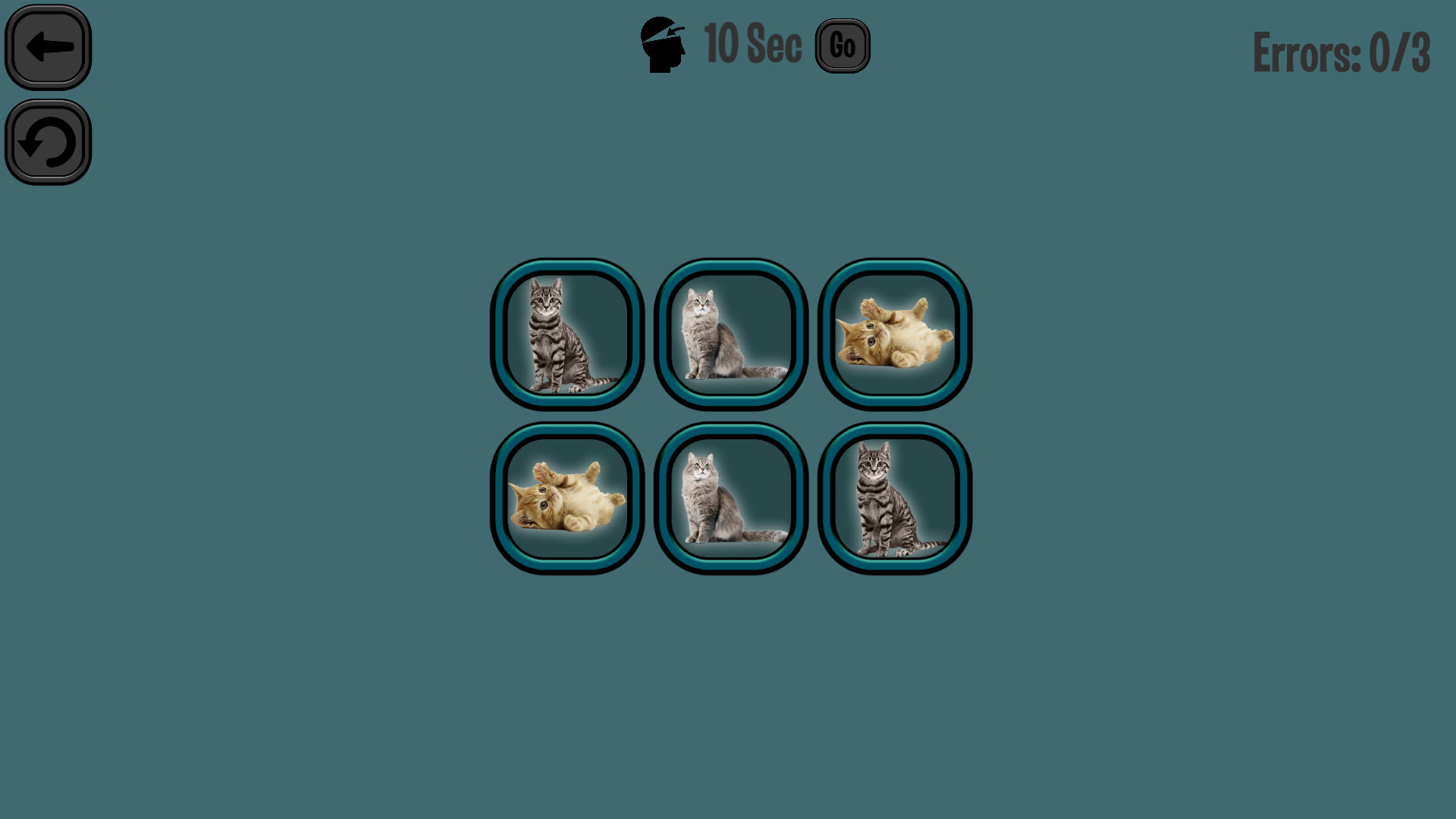 Animals Memory: Cats