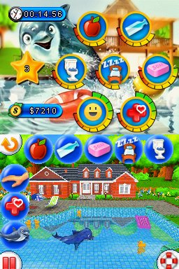 101 Dolphin Pets
