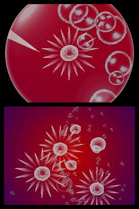 Electroplankton Sun-Animalcule