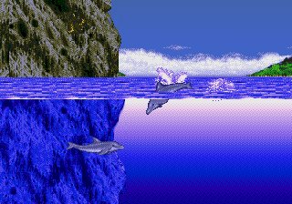 Ecco the Dolphin