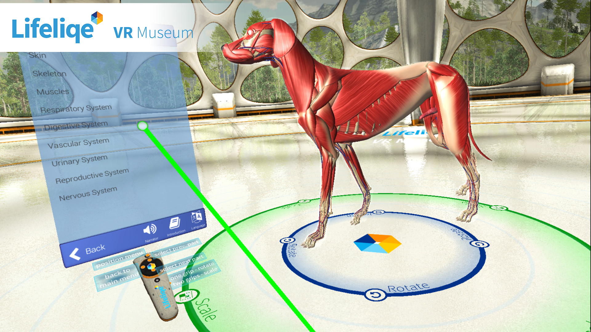 Lifeliqe VR Museum
